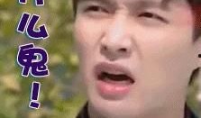 阿媚的吃瓜笔记免费阅读,揭秘娱乐圈幕后故事